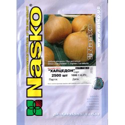 Лук Халцедон /2.500 семян/ *Наско*