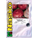 Лук Корсар /1.000 семян/ *Наско*