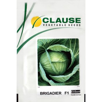 Капуста белокочанная Бригадир F1 /10.000 шт/ *Clause*