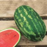 Кавун Нельсон F1 /1.000 шт/ *Clause*