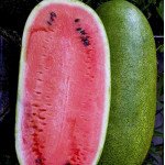 Арбуз Чарльстон Грей /0,5 кг семян/ *Clause*