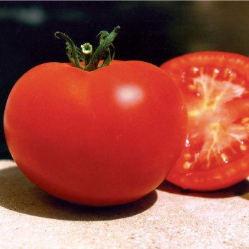 Томат Багира F1 /50 г/ *Clause*