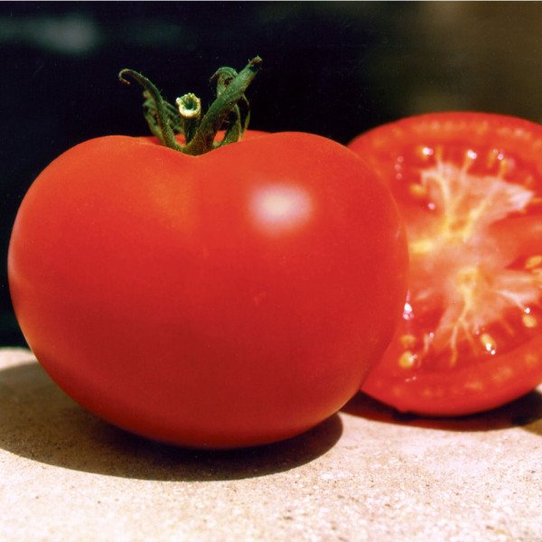 Семена томата Багира F1 /50 г/ *Clause*