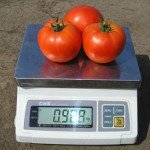 Томат Альянс F1 /250 шт/ *Clause*