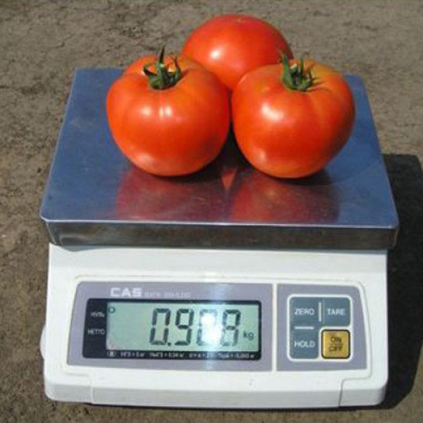 Насіння томату Альянс F1 /250 шт/ *Clause*