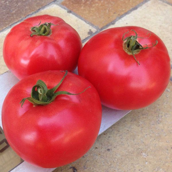 Семена томата Афен F1 /250 шт/ *Clause*