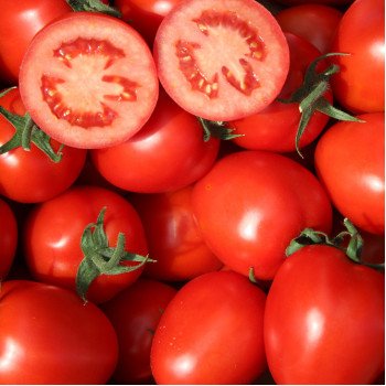 Томат Колибри F1 /250 шт/ *Clause*