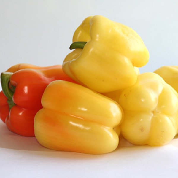 Насіння солодкого перцю Мадонна F1 /500 шт/ *Clause*