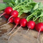 Редис Джолли /0,5 кг семян/ *Clause*