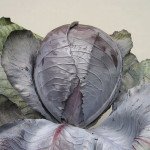 Капуста червоноголова Гарансі F1 /1.000 шт/ *Clause*