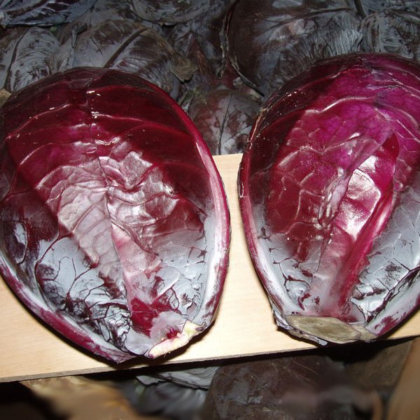 Насіння капусти червоноголової Гарансі F1 /10.000 шт/ *Clause*