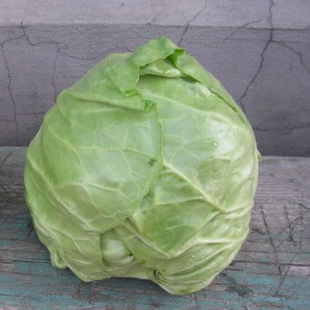 Капуста белокочанная Оракл F1 /2.500 шт/ *Clause*