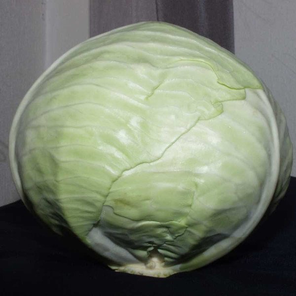 Насіння капусти білоголової Раноки F1 /10.000 шт/ *Clause*