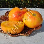 Томат Желтый от Лилиан (Lillian`s Yellow) /20 семян/ *Частная коллекция*