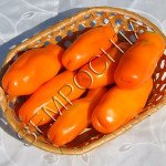 Томат Эрос /20 семян/ *Частная коллекция*
