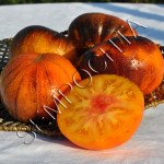 Томат Мрія Аліси (Alice`s Dream) /20 насінин/ *Приватна колекція*