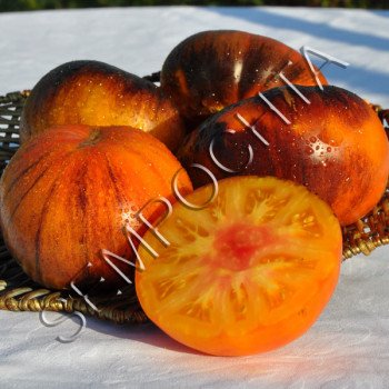 Томат Мрія Аліси (Alice`s Dream) /20 насінин/ *Приватна колекція*