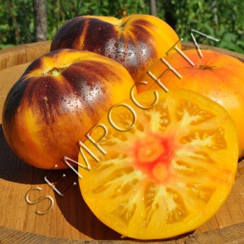 Томат Послеобеденный Восторг (Afternoong Delight) /20 семян/ *Частная коллекция*