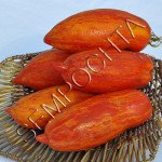 Томат Римский Полосатый /20 семян/ *Частная коллекция*