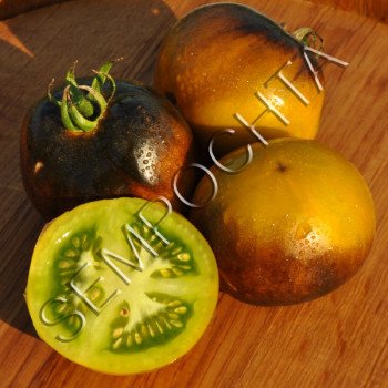 Томат Синьо-Зелений Вагнер (Wagner Blue Green) /20 насінин/ *Приватна колекція*