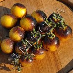 Томат Синій Ліс Джмелів (Bosqve Blue Bumblebee) /20 насінин/ *Приватна колекція*