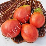 Томат Бренди Фиолетовая Груша (Purpl Pear Brendiwine) /20 семян/ *Частная коллекция*