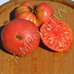 Томат Дядько Еверет (Uncle Everett) /20 насінин/ *Приватна колекція*