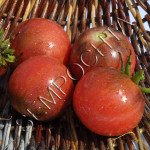 Томат Окрашеный Розовый (Painted Pink) /20 семян/ *Частная коллекция*