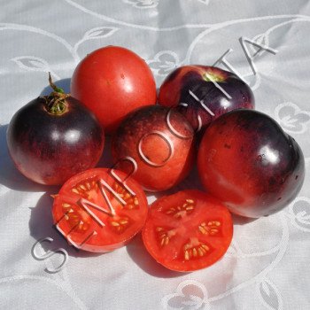 Томат Аметистова Коштовність (Amethyst Jewel) /20 насінин/ *Приватна колекція*