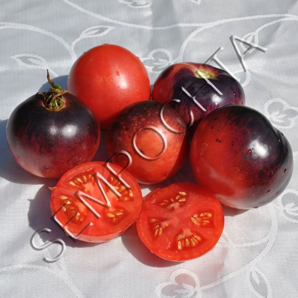 Томат Аметистова Коштовність (Amethyst Jewel) /20 насінин/ *Приватна колекція*