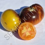 Томат Голубое Золото (Blue Gold) /20 семян/ *Частная коллекция*