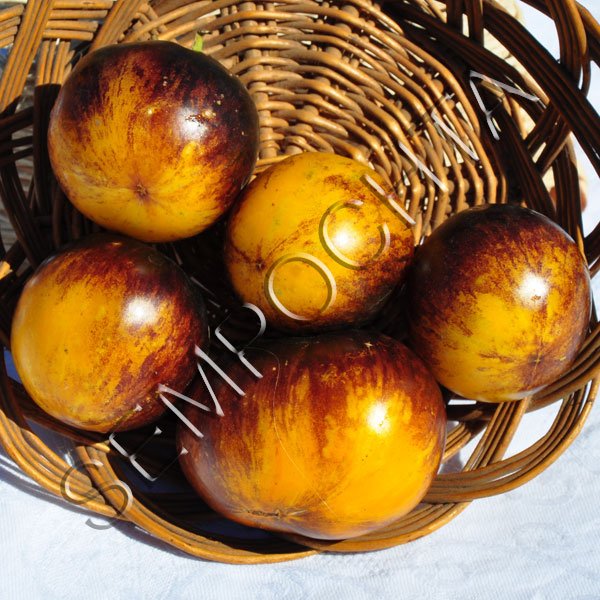 Томат Основные Цвета (Primari Colors) /20 семян/ *Частная коллекция*