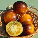 Томат Полоски Былых Времен (Stripes Of Yore) /20 семян/ *Частная коллекция*