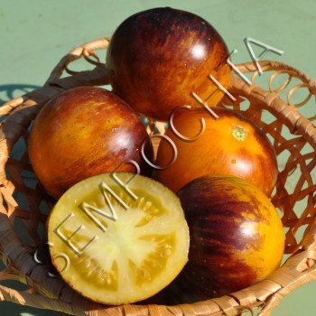 Томат Смужки Колишніх Часів (Stripes Of Yore) /20 насінин/ *Приватна колекція*