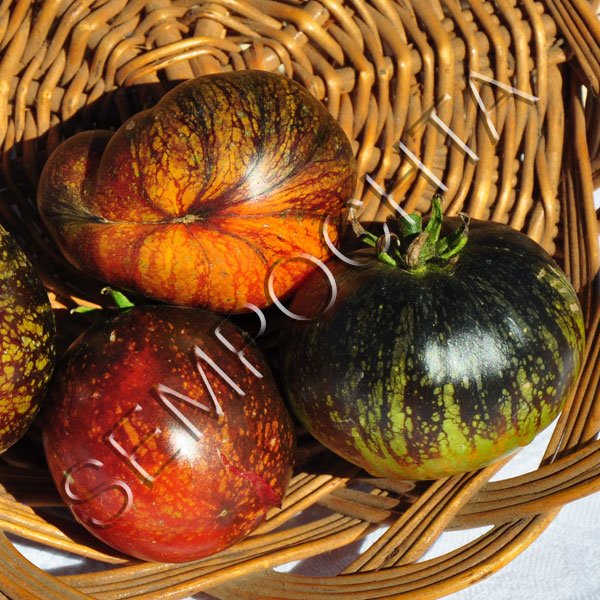 Томат Синее Пламя (Blue Fire) /20 семян/ *Частная коллекция*