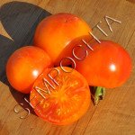 Томат Ананасовый Туман (Pineapple Fog) /20 семян/ *Частная коллекция*