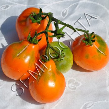 Томат Японский Трюфель Оранжевый /20 семян/ *Частная коллекция*