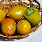 Томат Зеленый Чили (Chile Verde) /20 семян/ *Частная коллекция*