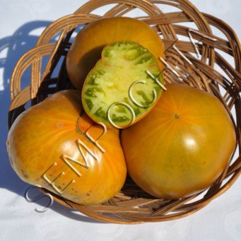 Томат Ірландський Лікер /20 насінин/ *Приватна колекція*