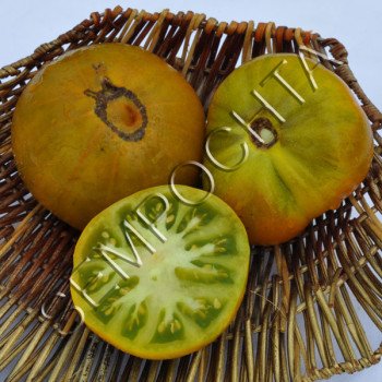 Томат Марманде Зелений (Marmande Verte) /20 насінин/ *Приватна колекція*