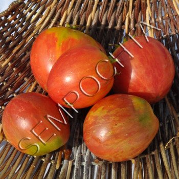 Томат Виски Слива Дина (Dean`s Wiskeb Plum) /20 семян/ *Частная коллекция*