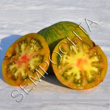 Томат Пресс Дина (Dean`s Pulsar) /20 семян/ *Частная коллекция*