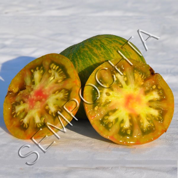 Томат Пресс Дина (Dean`s Pulsar) /20 семян/ *Частная коллекция*