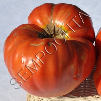 Томат Гигант Монстер /20 семян/ *Частная коллекция*