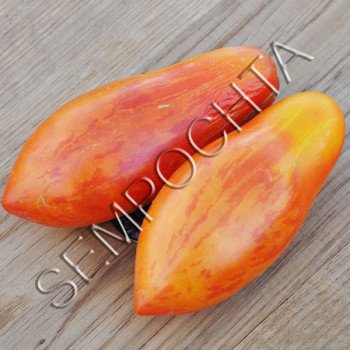 Томат Тигровая Сосулька /20 семян/ *Частная коллекция*