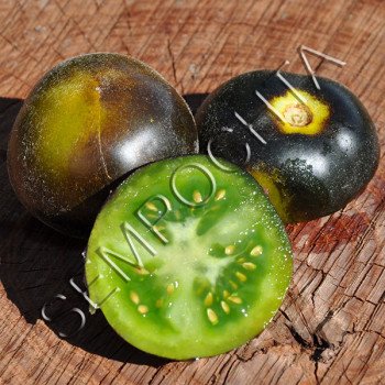 Томат Максимально Синьо-Зелений /20 насінин/ *Приватна колекція*