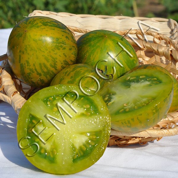 Томат Місячний Камінь /20 насінин/ *Приватна колекція*