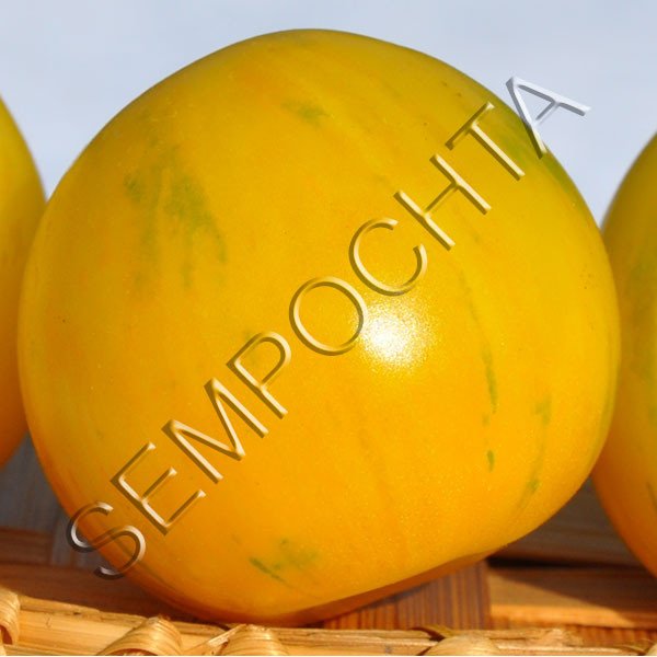 Томат Вернисаж Желтый /20 семян/ *Частная коллекция*