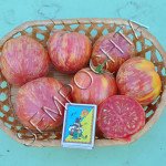 Томат Великий Вернісаж Рожевий /20 насінин/ *Приватна колекція*