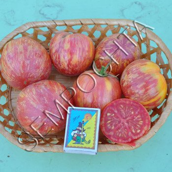 Томат Большой Вернисаж Розовый /20 семян/ *Частная коллекция*